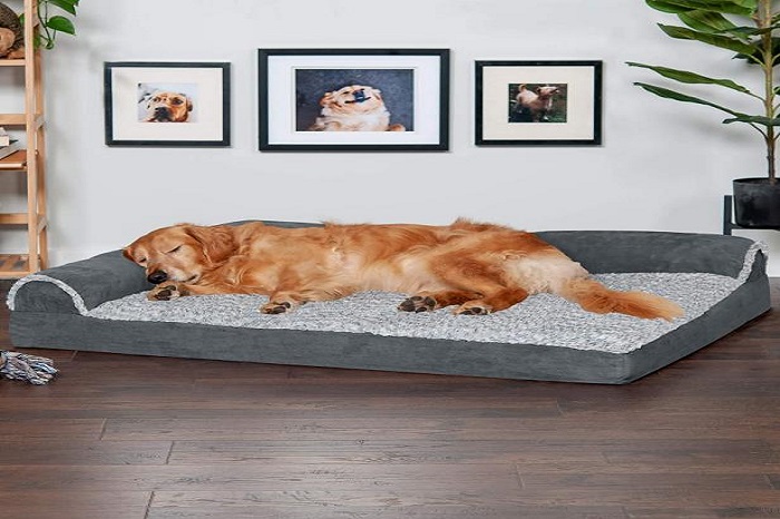 perfect dog bed