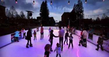 Outdoor Synthetic Ice Rink