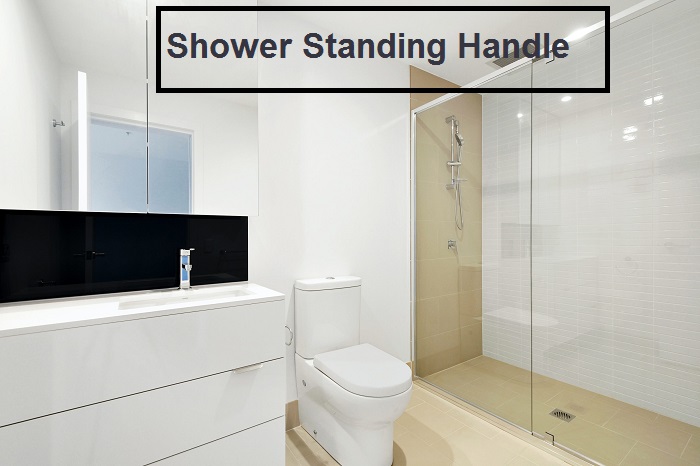 Shower Standing Handle